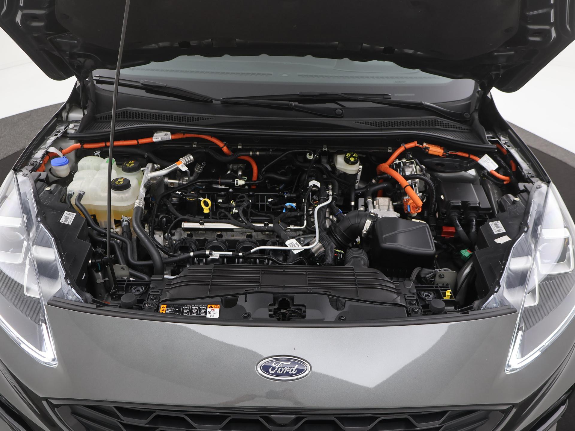 48033590-33.jpg